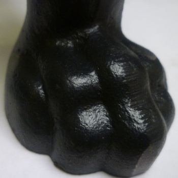claw_foot_close-sq